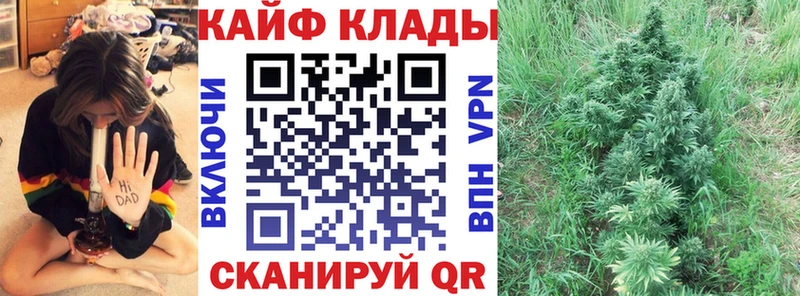 Магазины продажи наркотиков Ялуторовск МАРИХУАНА  АМФ  ГАШ  Alpha-PVP 