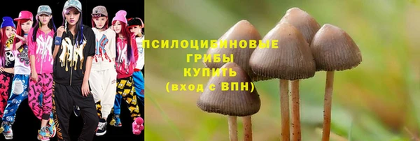 твердый Белоозёрский